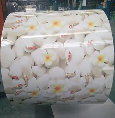 4mm - 300mm Prepainted Galvanized Steel Coils Hot Dip Blue PPGi 60g/M²